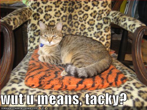 funny kitten_24. funny-pictures-cat-is-shocked-that-you-find-his-chair-to-be-tacky.jpg