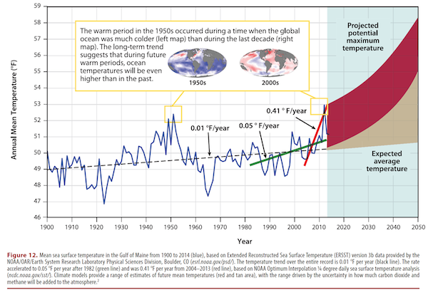 Maine Refund Cycle Chart