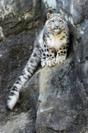 put_er_there_pard