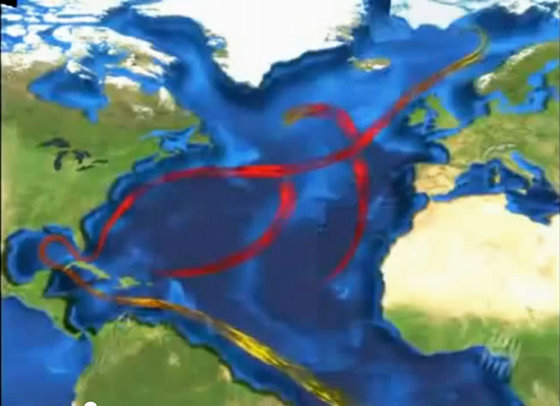 Gulf Stream showing surface flow (from "The Gulf Stream and the Next Ice Age")