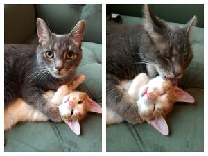 diptych