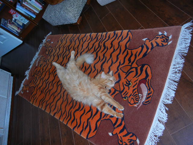 Lion boy and the tibetan tiger rug links