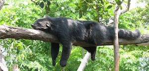 sleepy_300
