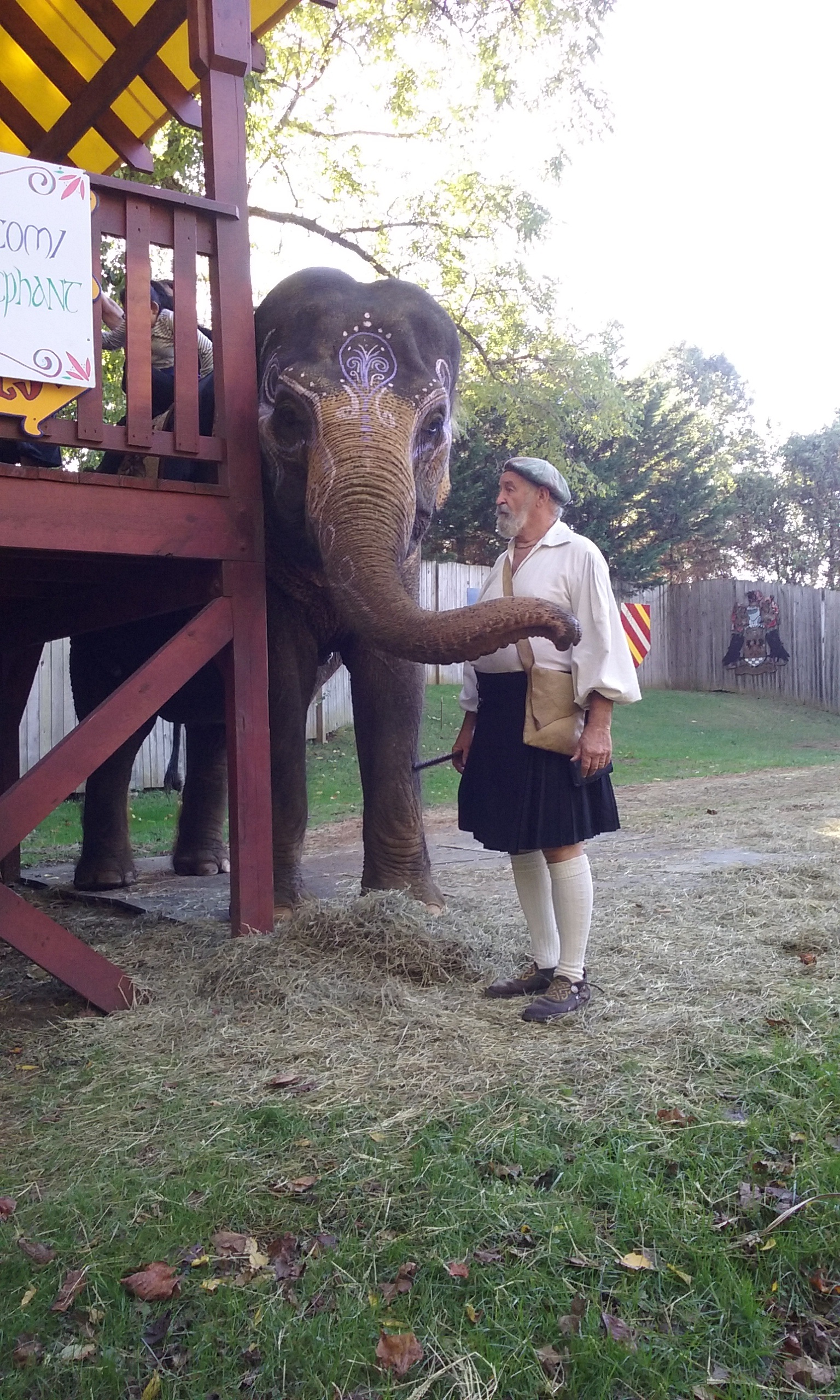 Elephant at festival links