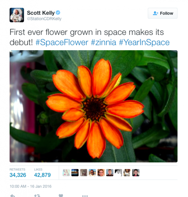 scott-kelly-flower-ISS-twitter