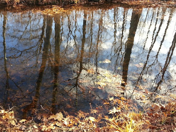 Fall alongside the Artichoke River, MA