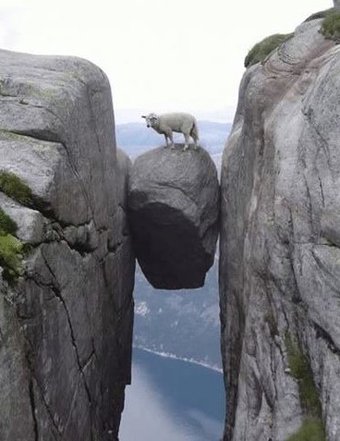 goat living dangerously links