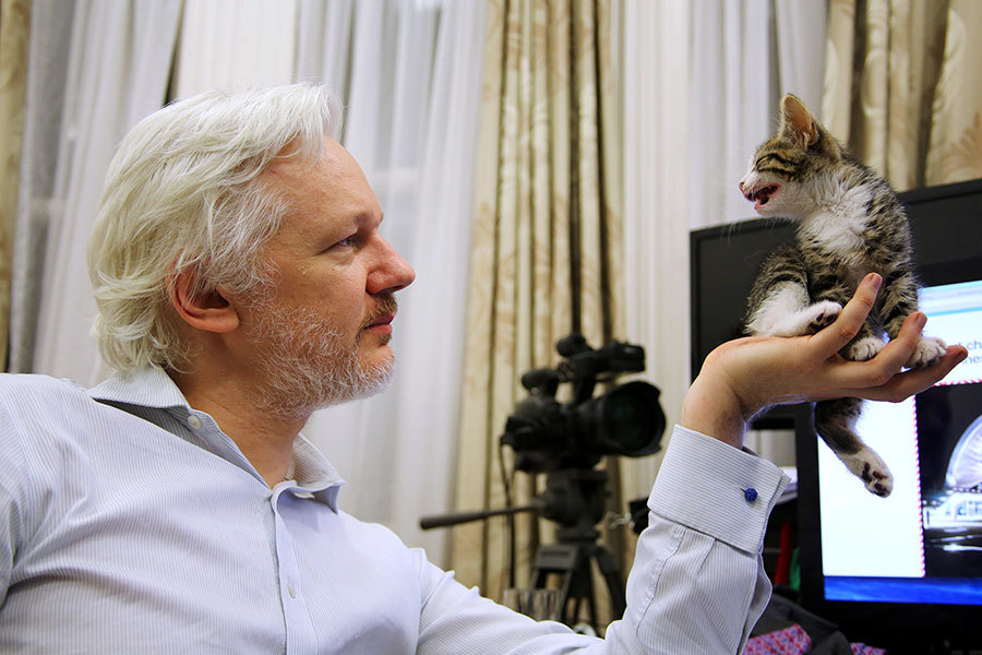 Assange with kitten links