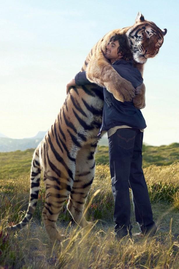 tiger hug links width=