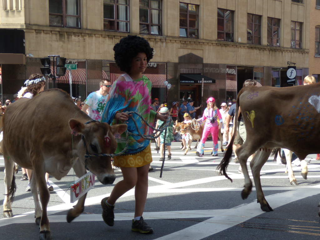 heifer fair links