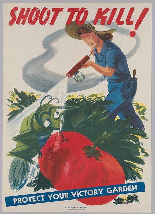 Victory Gardens In The World Wars And In The Neoliberal Era