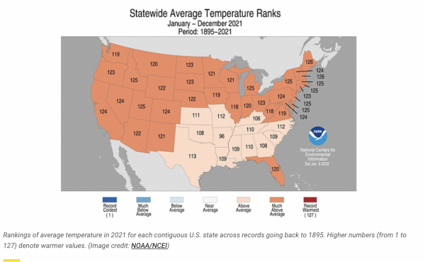 Warmest U.S. December in History Caps a Stormy, Mostly-Sizzling Year 1