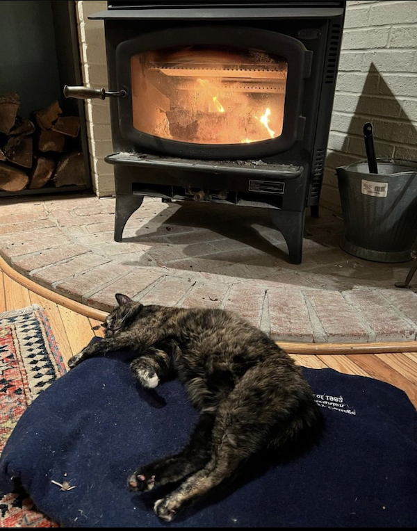 woodstove - Using self-leveling cement as a wood stove's stove