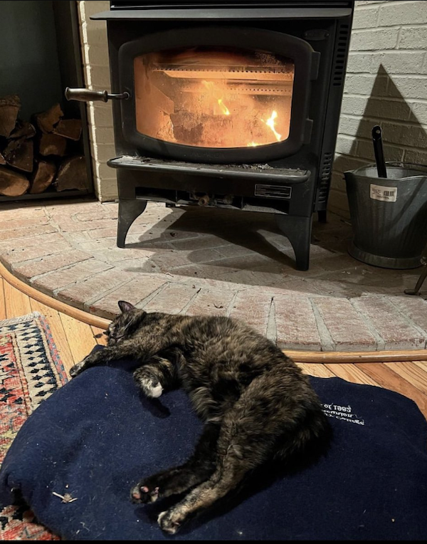 https://www.nakedcapitalism.com/wp-content/uploads/2022/07/woodstove_cat.png