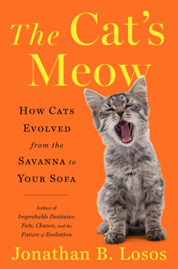 Cat's Incredibly Long Meow Viewed 38 Million Times: 'He Will Be Heard