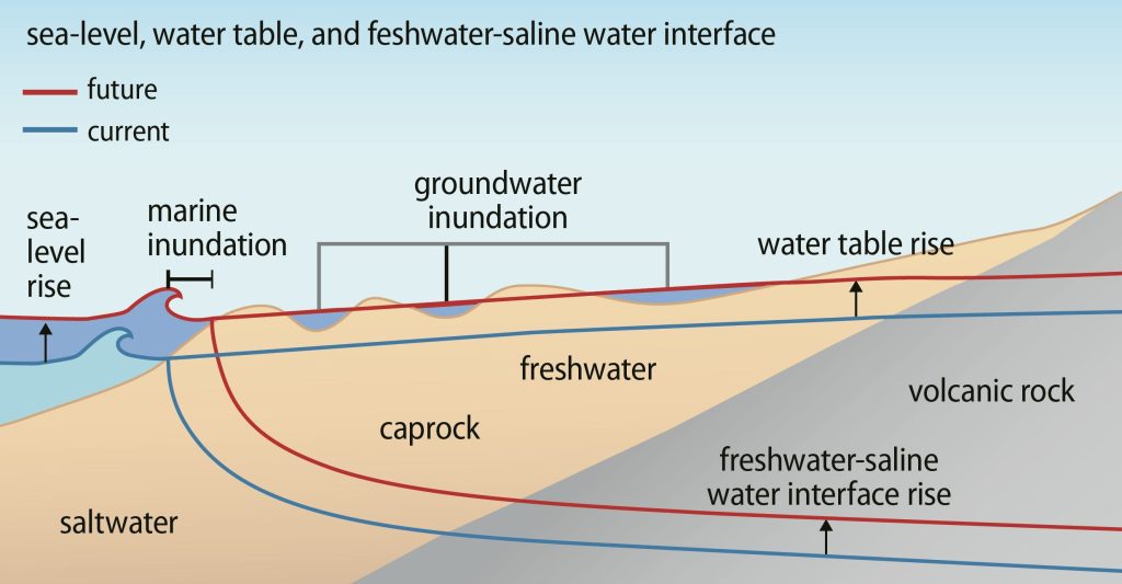 shoreline slip