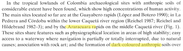 The Unsung Heroes of the “Children Lost in the Amazon” Story: Amazonia’s Gardeners 3