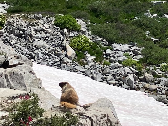 Links 12/13/2025 | naked capitalism Links 12/13/2025 | naked capitalism