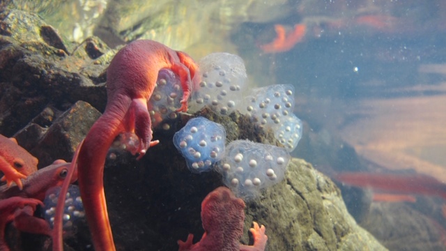 Links 1/3/2026 | naked capitalism